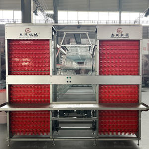 Kenya tavuk çiftlik evi otomatik tavuk kafesleri yumurta toplama sistemi ile yumurta döşeme tavuk kümesi - Product Image 2