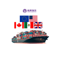 Haopeng Logistik Professioneller Versand von Handyhüllen per LCL+Express Seefracht von Shenzhen DDP in die USA