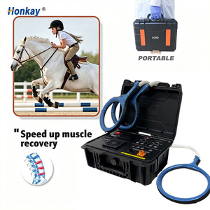 Sistema de Terapia de Campo Electromagnético Digital Inteligente 2025 con Pantalla LCD para un Control Preciso de la Salud Equina, PEMF para Caballos - Product Image 1