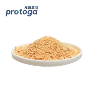 Protoga Factory Price OEM Organic DHA Oil Source Schizochytrium Powder