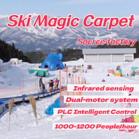 Tapis roulant à ski personnalisé pour parc de ski, tapis magique pour piste débutante, vente directe du fabricant pour station de ski