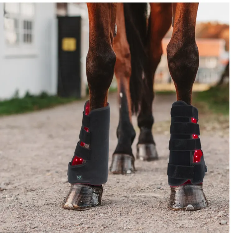 660nm 850nm Paardenverzorging Nabij Infrarood Licht Apparaat Paardenverzorging Paardenproducten Rood Licht Therapie