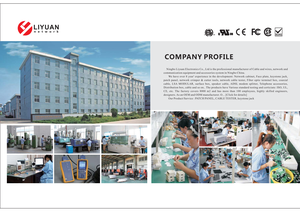 Liyuan ตัวเชื่อมต่อแบบอินไลน์ Cat6a FTP แจ็คสโตนชนิดวัสดุโลหะแบบ LY-D01-AP050อะแดปเตอร์ตัวเมีย - Product Image 4
