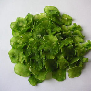 Hot bán mất nước rau không khí khô Rau diếp Flakes - Product Image 2