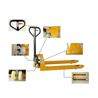 Offre Spéciale Chariot Élévateur Manuel Pliable 2500kg en Acier Inoxydable avec Frein à Main Certifié CE ISO9001 Synge PJ147 Garantie 1 An pour Palettes