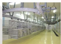 Industriële fruitvriesdroger van 4000 kg |   Voedselverwerking |   Behandelt aardbeien, passievruchten en durian |   RVS 304