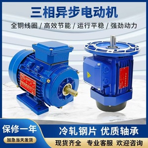 Motor Asíncrono Trifásico YS de Cobre, 380V, con Carcasa de Aluminio, 0.37/0.55/0.75/1.1/1.5/2.2mm, 1500/3000rpm, 60Hz, Cerrado - Product Image 5