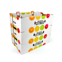 Boîte d'emballage en carton ondulé robuste pour le transport de fruits et de produits agricoles