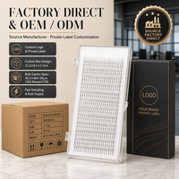 Extensions de cils individuels haut de gamme en PBT, styles courbures C/D/DD, longueur 81,8 cm, personnalisables avec votre logo
