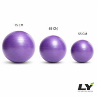 Ballon de yoga anti-éclatement épaissi 45-85 cm, ballon d'exercice et de stabilité avec pompe, 12 couleurs, pour fitness, yoga, accouchement et équilibre
