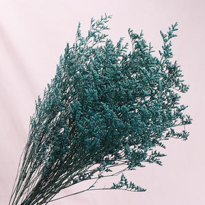 Vente en gros Fleurs conservées pour décoration intérieure <span class=keywords><strong>Desmodium</strong></span> <span class=keywords><strong>Gyrans</strong></span> Herbe de Saint-Valentin pour Noël Thanksgiving Nouvel An chinois - Product Image 2