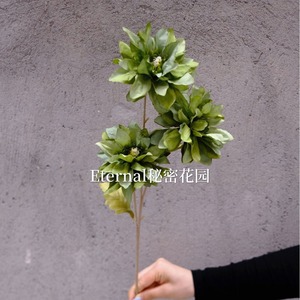 ดอกดาเลียประดิษฐ์จากผ้าไหม ซีเคร็ทการ์เดน ก้านเดี่ยว สำหรับตกแต่งงานแต่งงาน หลายสี - Product Image 4