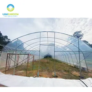 <span class=keywords><strong>Serre</strong></span> Simple de taille Standard 8x30, petit et bon marché Type de Tunnel à portée unique pour légumes avec système de Ventilation - Product Image 1