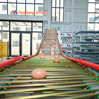 Système de cages automatiques en H pour poules pondeuses, équipement avicole résistant à la corrosion avec plaques ZAM pour poulaillers
