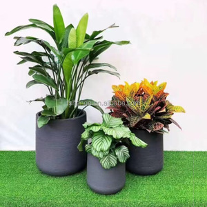Grand <span class=keywords><strong>pot</strong></span> <span class=keywords><strong>de</strong></span> fleurs <span class=keywords><strong>de</strong></span> jardin en plastique <span class=keywords><strong>blanc</strong></span> avec <span class=keywords><strong>peinture</strong></span> lisse et succulente personnalisé en fibre <span class=keywords><strong>de</strong></span> verre - Product Image 5