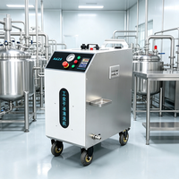Machine de nettoyage à jet de glace sèche CO2 la plus vendue, IP54, pour l'élimination des efflorescences sur la maçonnerie en briques