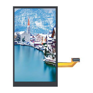 3.17 Inch Oled Display 360X640 Mipi Amoled Voor Industriële - Product Image 1
