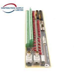 Carte de terminaison DS200QTBAG1A RST avec support technique professionnel - Product Image 3
