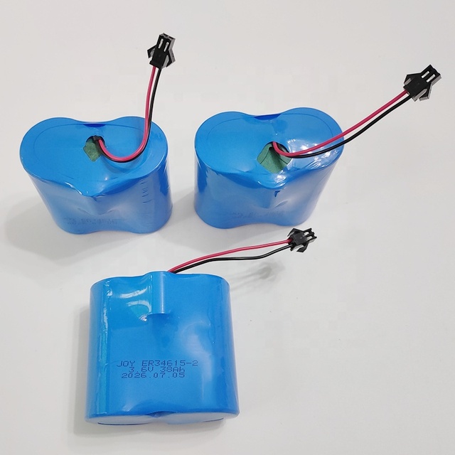 ER34615 ER34615H ER34615M 38Ah D Size Dry Cell 3.6V 19000mAh with 1520 1550 Lithium Battery for Smart Water Meter