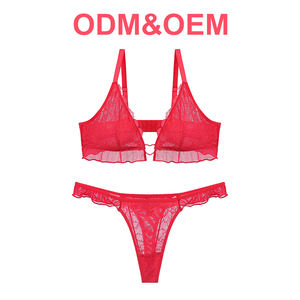 ODM OEM Mode Individuelles Logo Übergröße Transparente Dessous Rote Große Größen Sexy Spitzen-BH-Sets für Damen - Product Image 4