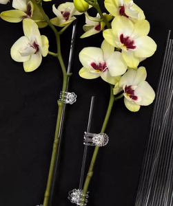 Transparent Plastic Orchid <strong>Support</strong> Clips Clear Plant Stem Fixing Clamp Garden <strong>Flower</strong> <strong>Support</strong> Holder Gardening Accessories - Product Image 5