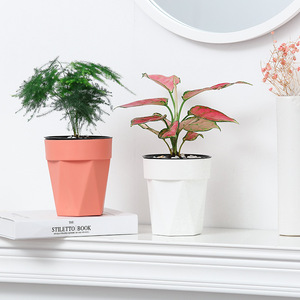 Vente en gros <span class=keywords><strong>de</strong></span> pots à <span class=keywords><strong>fleurs</strong></span> ronds en plastique <span class=keywords><strong>de</strong></span> haute qualité et bon marché pour la décoration <span class=keywords><strong>de</strong></span> jardin, pour l'extérieur - Product Image 6