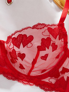 High Quality Low-Rise <b>Sexy</b> Style Lace Underwire <b>Set</b> Women's Heart Shape Embroidered Mesh Bra Panty <b>Set</b> - Product Image 4