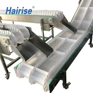 Hairise输送机和自动化皮带3d模型免费下载电机新产品2020聚酯提供耐热220-800毫米