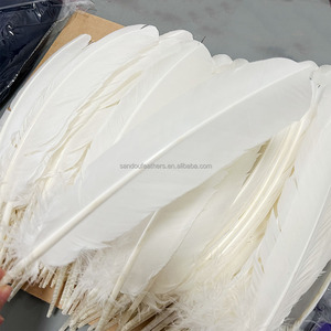 Bán Buôn 25-30 Cm Thổ Nhĩ Kỳ Quill Lông Cho Carnaval Samba Khiêu Vũ Trang Phục Mũ Ba Lô - Product Image 4