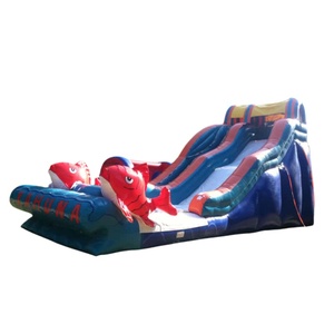 Toboggan gonflable géant commercial à sec, modèle Big Kahuna Red Fishes, pour enfants et adultes, idéal pour le jardin - Vente chaude - Product Image 6