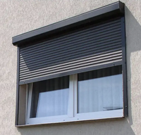 Fenêtre à volets roulants verticaux modernes automatiques en alliage d'aluminium pour extérieur