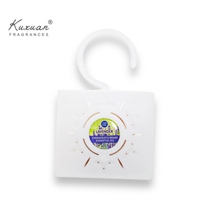 Bolsita de perfume de gran oferta, 1 Uds., bolsa de bolsita de plástico con gancho para ropa, armario para el hogar, armario para zapatos, desodorización de larga duración - Product Image 5
