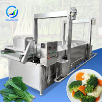 OCEAN Automatische Aardappel-Paprika Blancher Frites Amandel Voedsel Blancheringsmachine voor Fruit en Groenten
