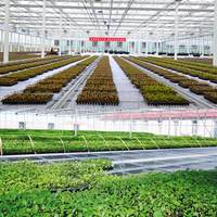 Plateaux de semis en PS/PET à 200 cellules, plateaux de germination de graines, plateaux de pépinière pour l'agriculture, la serre, la ferme, le jardin