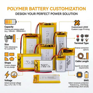 Fabrika Özelleştirilmiş Şarj Edilebilir 4025130 4514160 5020120 5000mAh 4000mAh 2200mAh Li-ion Lityum Polimer 3.7v Lipo Pil - Product Image 5