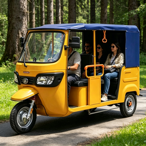 Tricycle électrique à trois roues pour passagers, fabriqué au Nigeria, avec batterie au lithium, moteur sans balais, cabine fermée, capacité de 400 kg, prix abordable, 1000 W, 60 V - Product Image 1