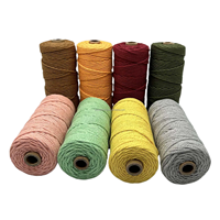 Corde en macramé tressée de haute qualité 5mm 100m cordon en macramé en polyester coton recyclé multicolore spécifications d'usine emballage