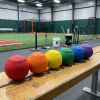 Ensemble d'entraînement de baseball lesté de qualité supérieure, en boîte de vente au détail - Prêt pour FBA - Balles Plyo pour le lancer - Ensemble de 6 balles en PVC texturé à joint de préhension professionnelle