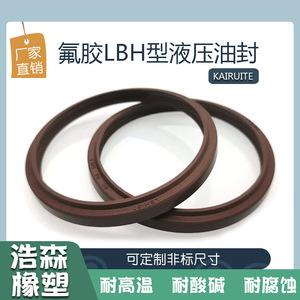 Joint hydraulique en fluororubber LBH, bague anti-poussière, 11,2-230 mm, résistant aux hautes températures, joint de cylindre - Product Image 3