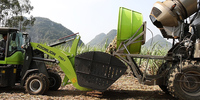 Semitree Zoomlion sugarcane, collection