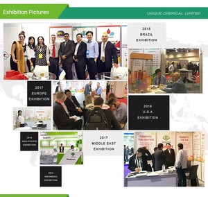 Sắc Tố Đỏ 254 - Product Image 5