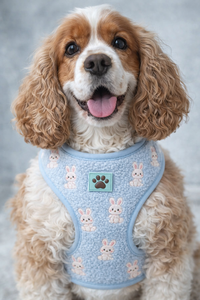 Conjunto de Correa y Arnés Ajustable Bordado Personalizado OEM, Collares y Correas para Mascotas, Conjunto de Arnés de Lujo para Perros - Product Image 4