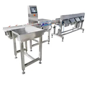 Günstige Hot Selling Food Industry automatische Waage Band förderer Check Waage Sortierer