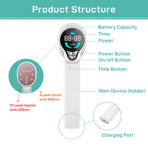 Kalt laser Katzen Hunde therapie Arthrose Degenerative Gelenk krankheit Rehabilitation gerät für Haustiere Gesundheits wesen - Product Image 3