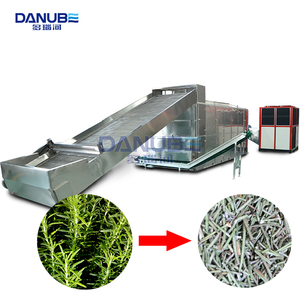 Automatic Mesh Belt Drying Machine Herb Drying Machine Rosemary Cleaning and Dryer Processing Line Rosemary Drying Machine - Product Image 1