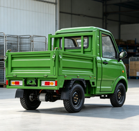 Véhicule électrique à benne basculante à 4 roues certifié CEE, véhicule électrique 3500W, camion à énergie nouvelle, 25 km/h, 2 places, E-pickup