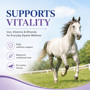 Suplemento Líquido de Vitaminas, Hierro y Minerales para la Salud Equina de Marca Privada, Ayuda a Completar Deficiencias Nutricionales Importantes - Product Image 2