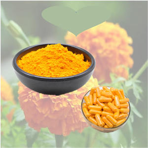<span class=keywords><strong>Tagetes</strong></span> สารสกัดดอกดาวเรือง <span class=keywords><strong>erecta</strong></span> ได้รับการรับรองอินทรีย์สารสกัดดอกดาวเรืองผง lutein 5%-80% - Product Image 2