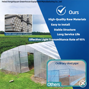 Nouvel arrivage de serre pour tomates Film plastique à portée unique Maison verte fraise <span class=keywords><strong>Tente</strong></span> Pe Serres agricoles - Product Image 6