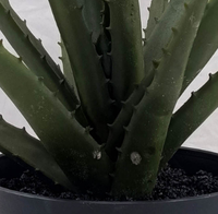 Mini Künstlicher Aloe-Baum Grüne PE-Topfpflanze Umweltfreundliche Innendekoration für Wohnzimmer Weihnachten Ostern Neujahr
